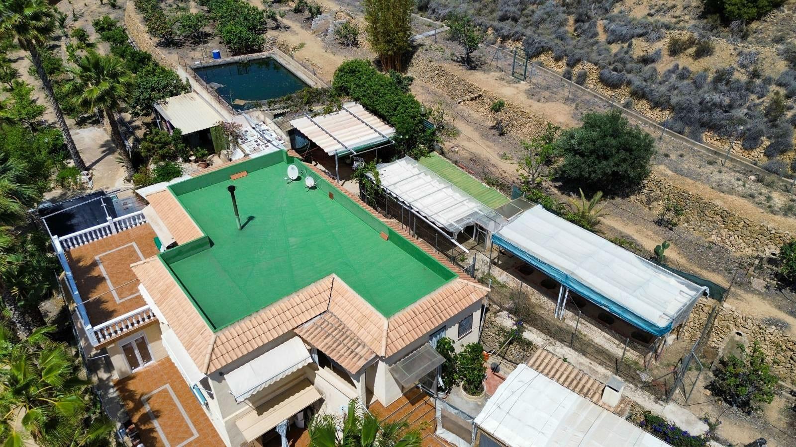 gallery image 1 of Expansive Villa with 3 Independent Living Units