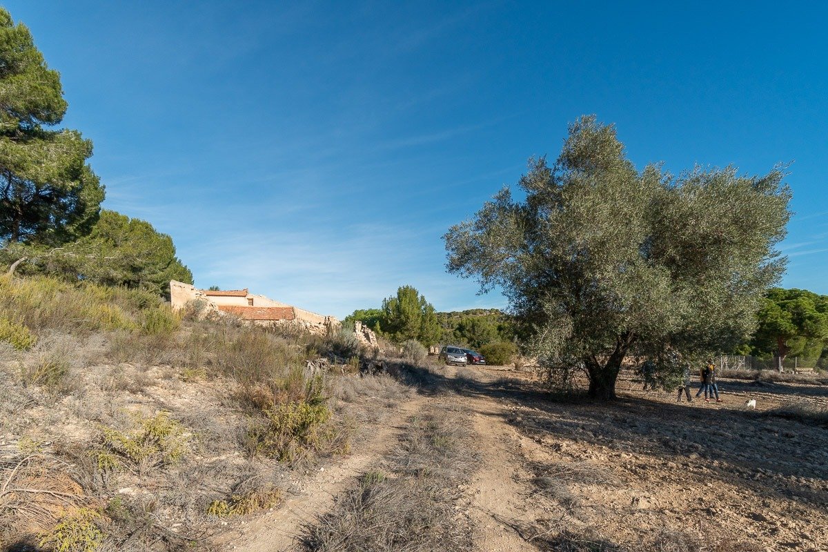 gallery image 4 of Historic Estate with Vast Land in Pilar