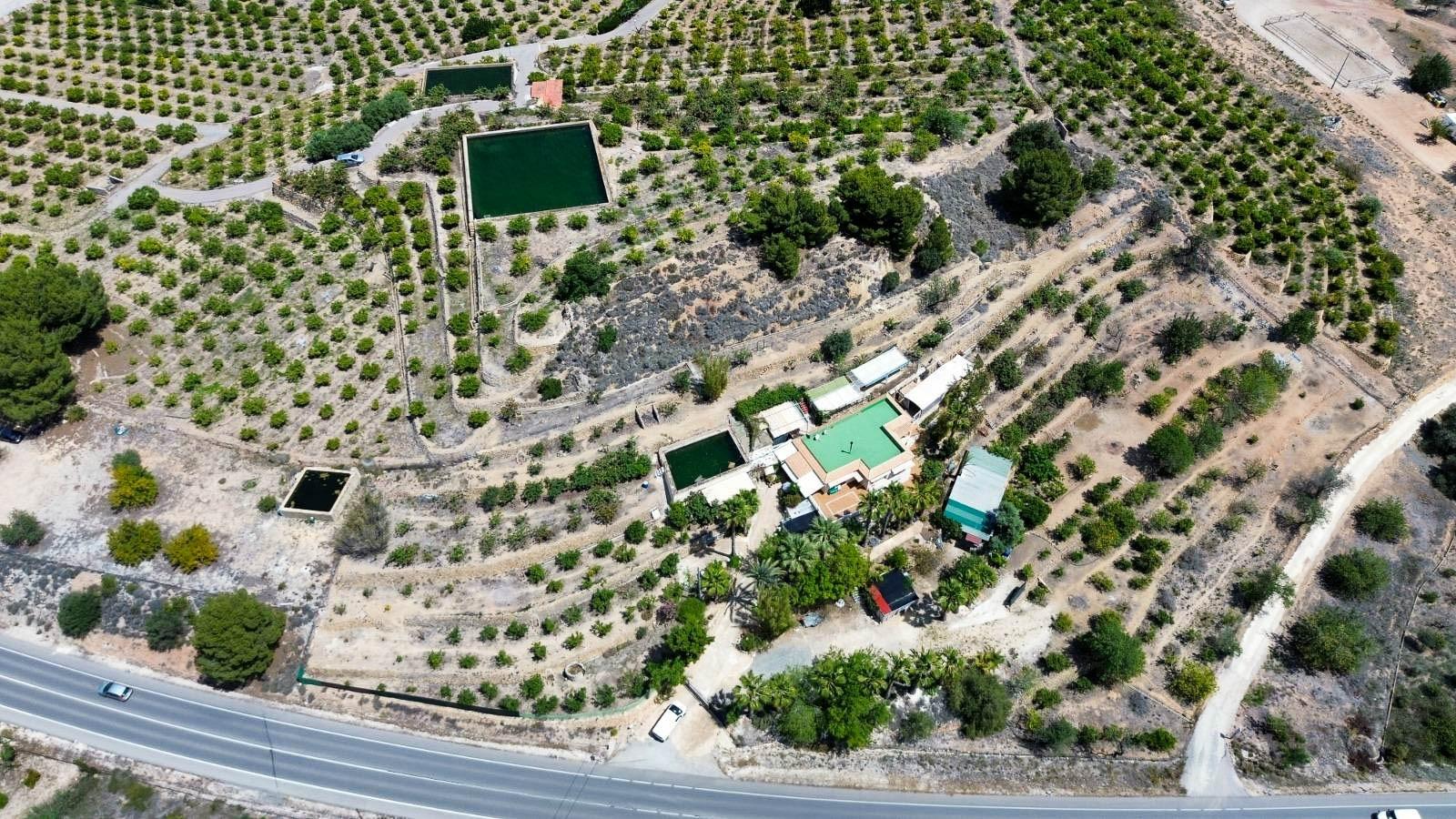 gallery image 3 of Expansive Villa with 3 Independent Living Units