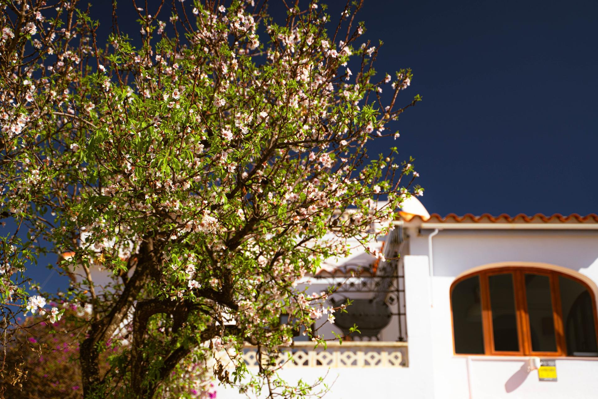 gallery image 1 of Charming Albir Villa with Pool & Views