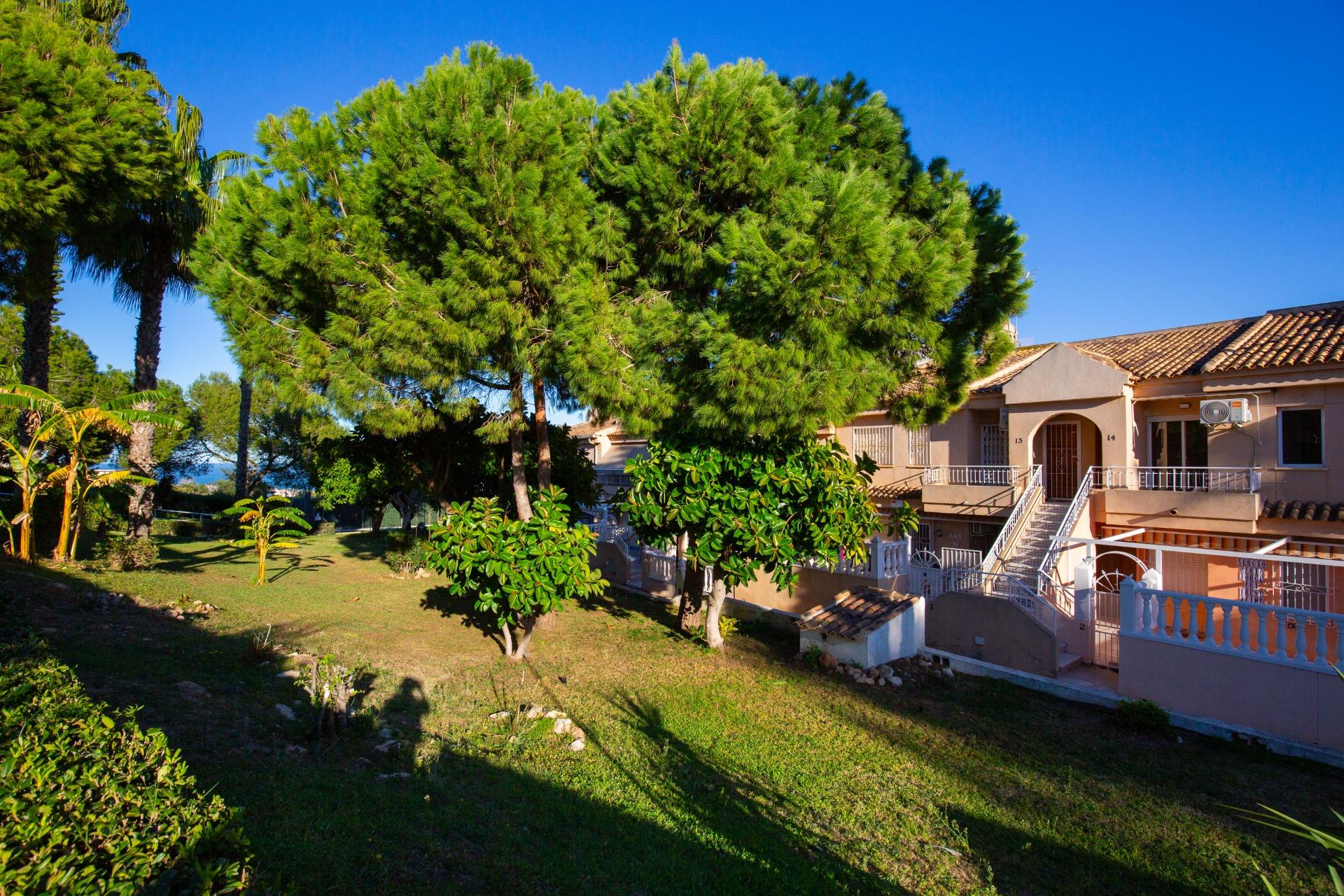 Апартаменты с видом на море в Торревьехе