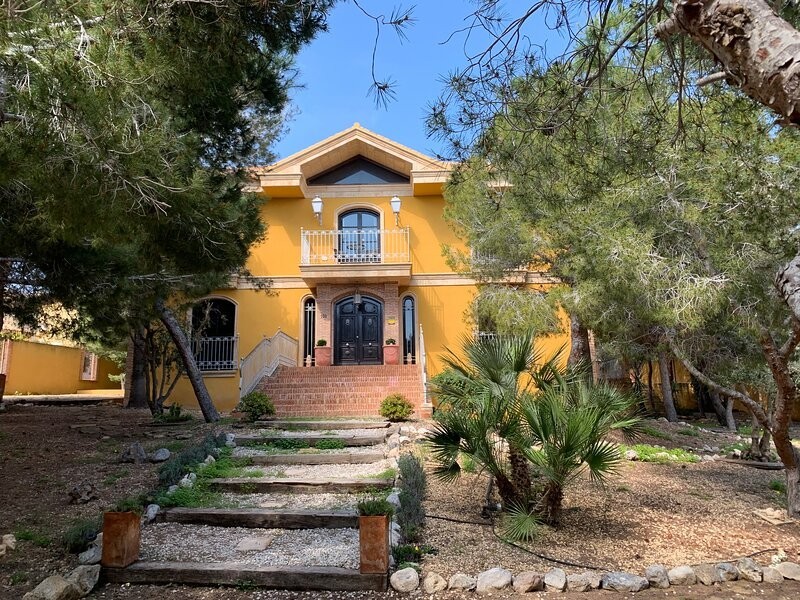 gallery image 1 of 