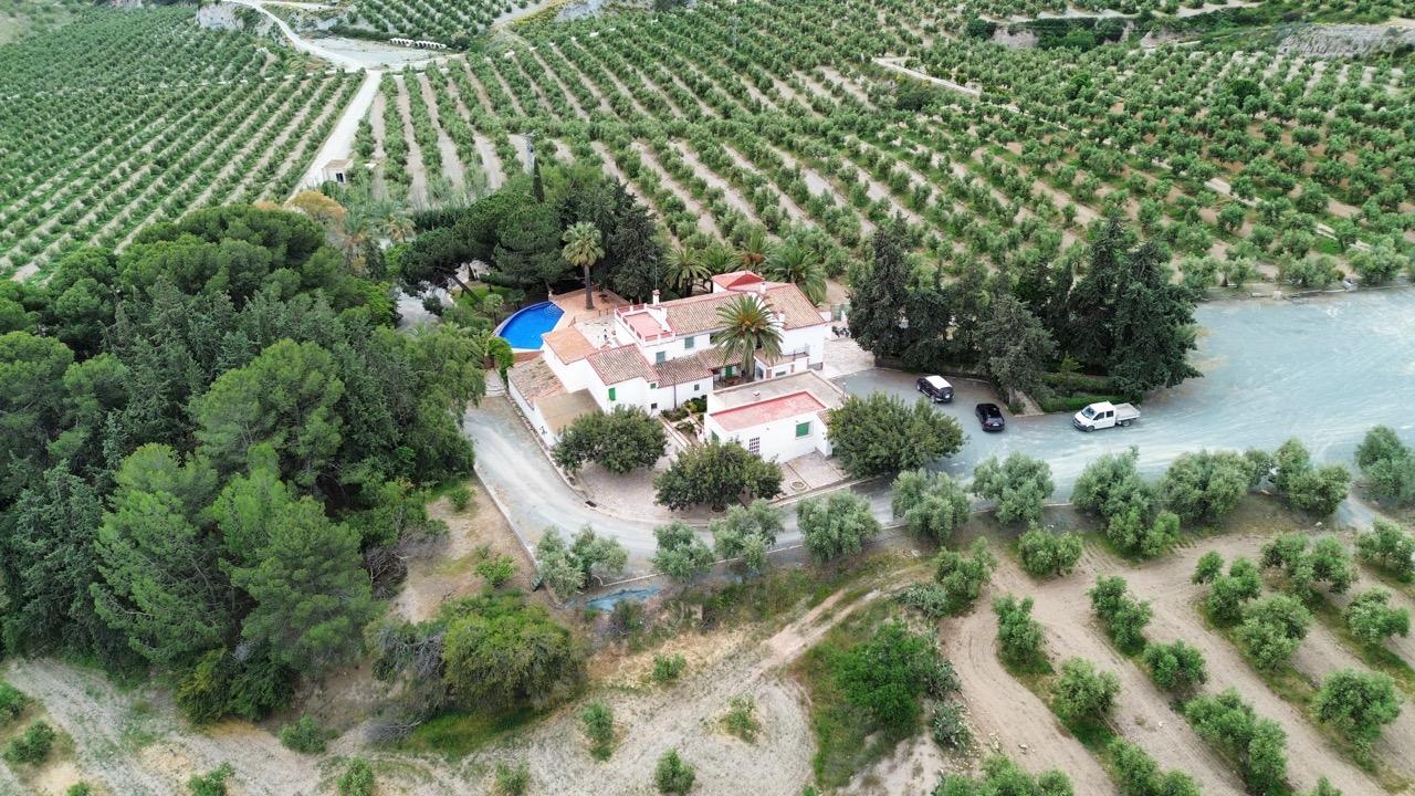 gallery image 2 of Finca Orgánica Exclusiva y Olivar, Murcia